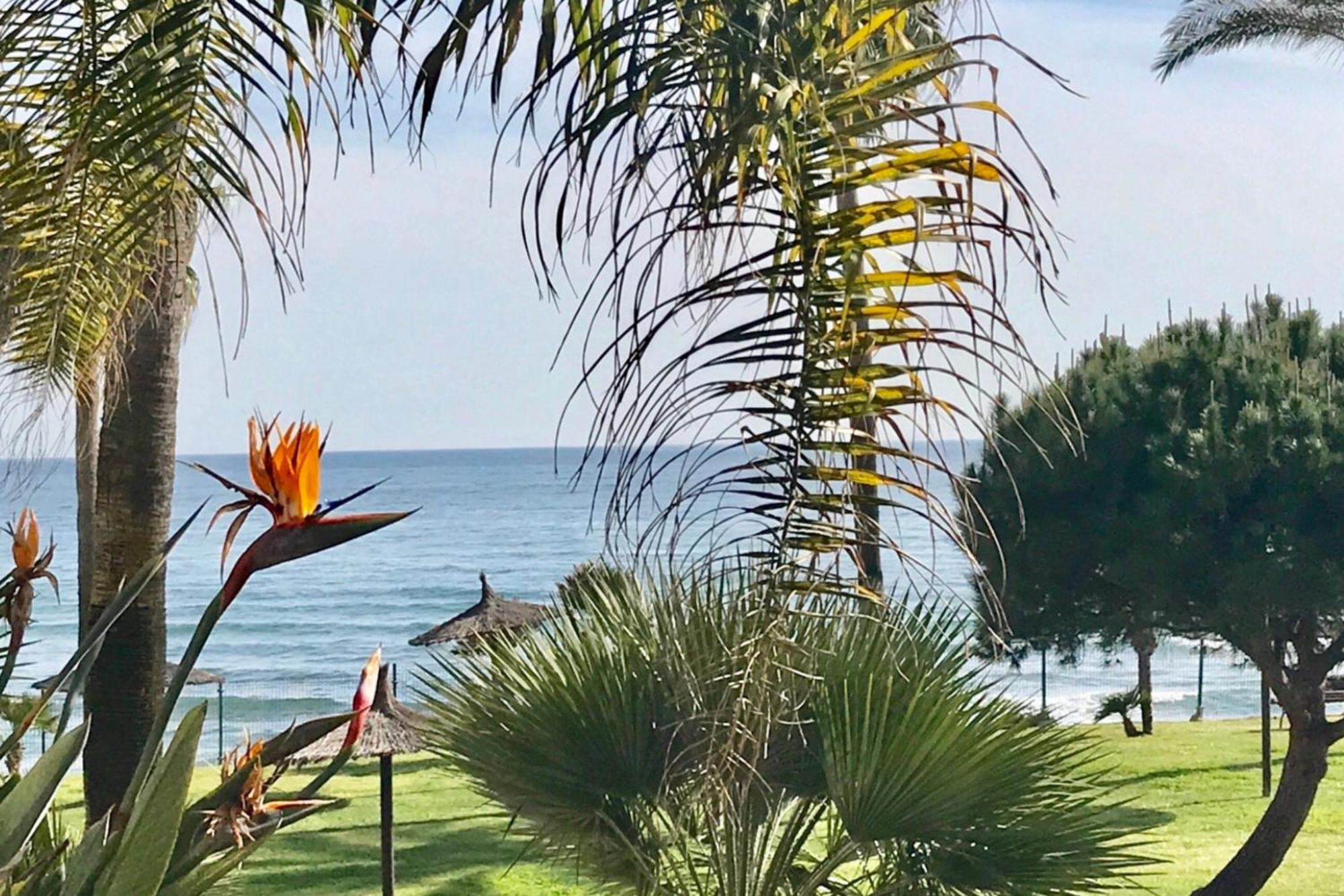 Mi Capricho 2D Beachfront- Apartment With Sea View - Costa Del Sol Sitio de Calahonda Zewnętrze zdjęcie