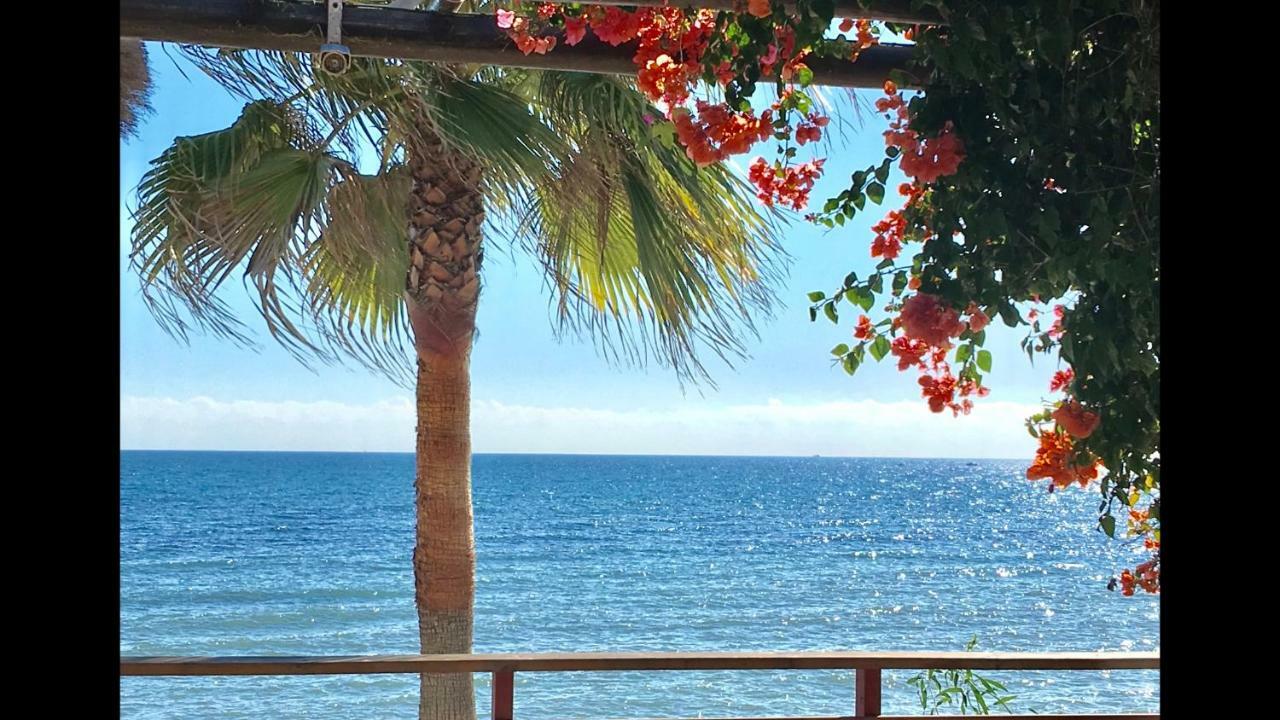 Mi Capricho 2D Beachfront- Apartment With Sea View - Costa Del Sol Sitio de Calahonda Zewnętrze zdjęcie